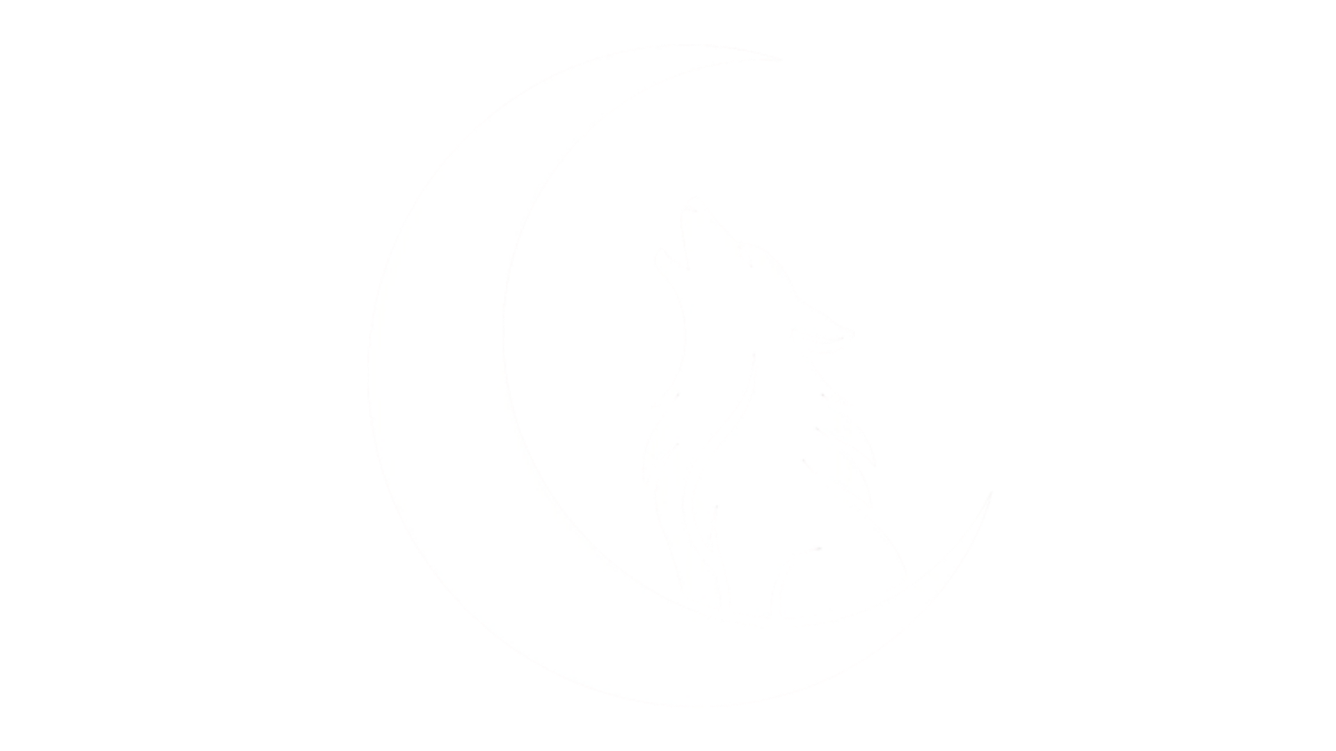MOONWOLF Joyería
